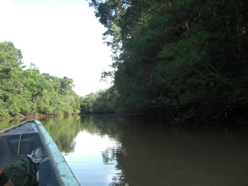 AMAZONAS 1