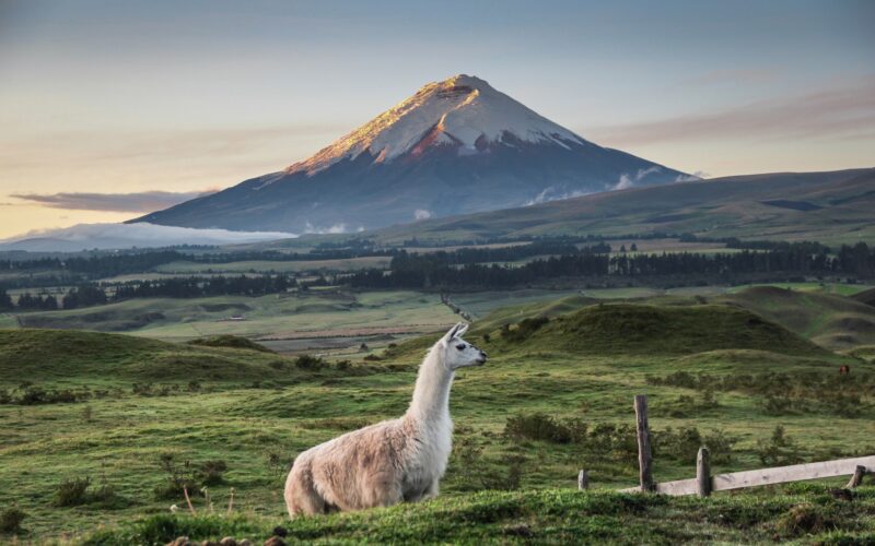 ecuador COTOPAXI