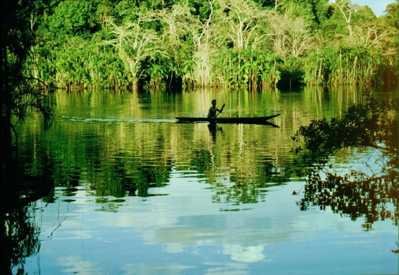 AMAZONAS FOTO2