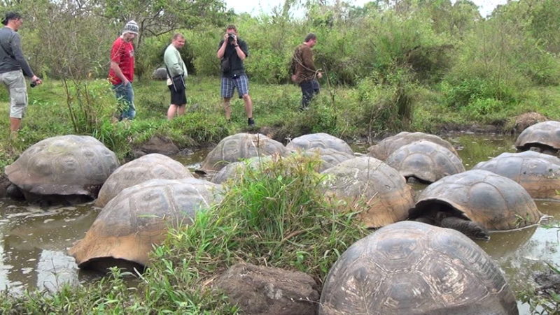 GEMELOS GALAPAGOS