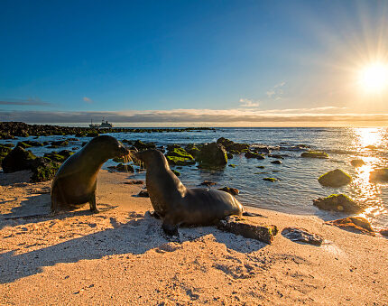 ecuador local tour operators