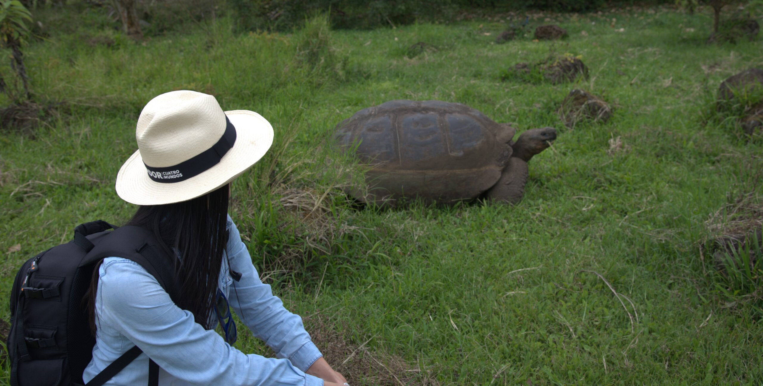 Ecuador Tour Companies – Terra Ecuador France – MMFIPP